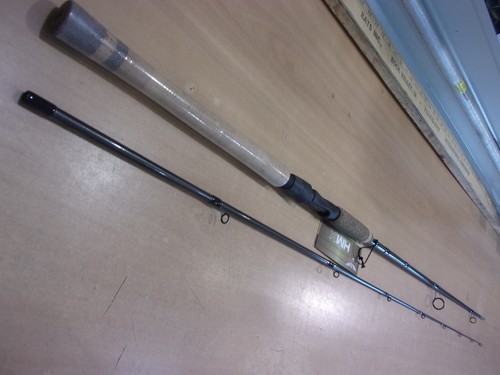 Fenwick hmx spinning rod - ,
