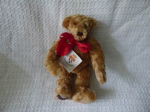 Canterbury bears artist - canterbury,