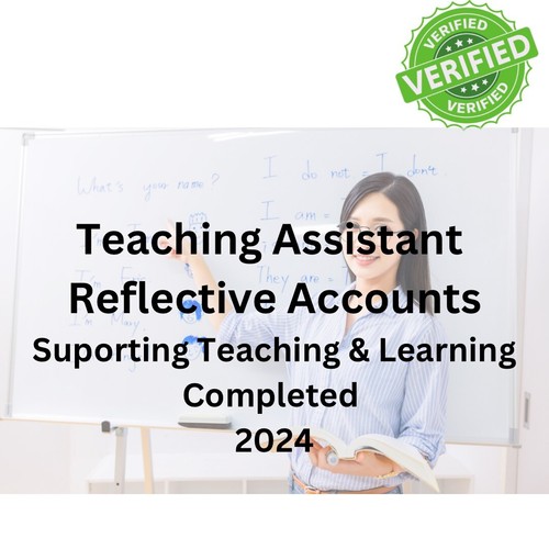 Teaching assistant coursework - assistant,