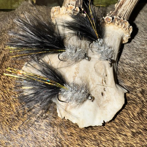 Silver body black tail - silver,