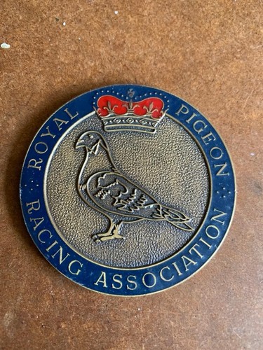 Vintage royal pigeon racing - vintage,
