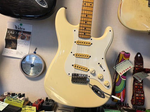 Squier fender standard - by,
