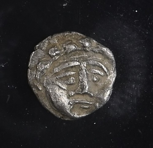 Psidia selge rare - selge,