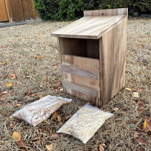 Wooden owl wild bird nest - owl,