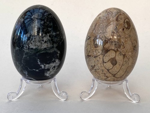 Polished stone eggs black onyx - eggs,