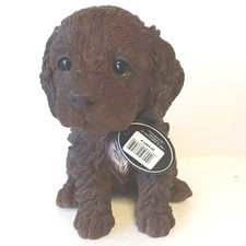 Pet Pal Chocolate Cockapoo