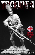 Troop54 Grenadier Royal Welch