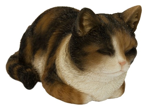 Vivid arts cat dreaming - vivid,
