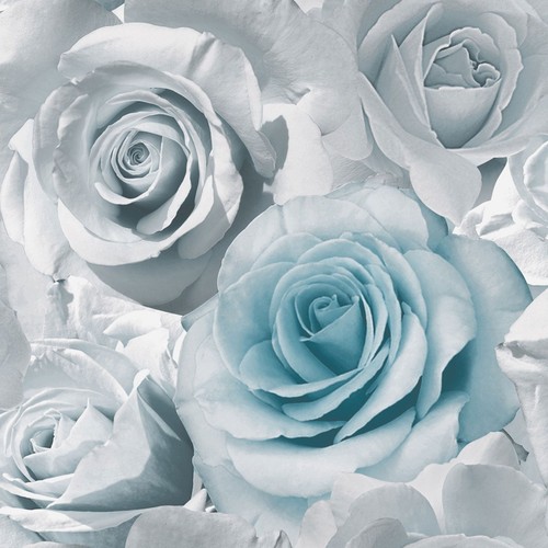 Muriva madison rose - madison, floral