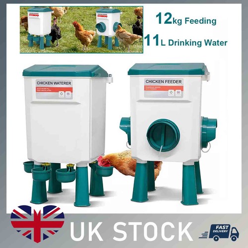 12kg chicken bird - bird, feeder