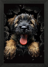 Briard Framed Wall Art Poster