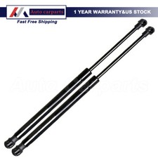 Set of 2 Rear Trunk Tailgate