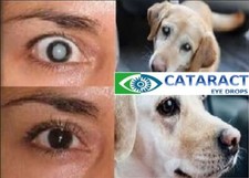 Holistic, chemical & additive free cataract eye drops for people and animals