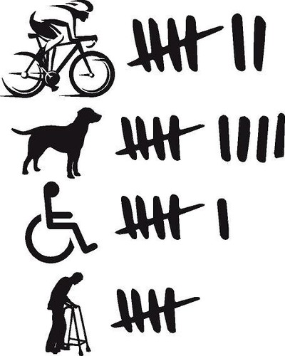 Accident tally funny vinyl - accident,