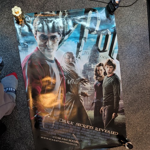 Harry potter and the - potter, half