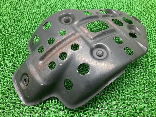 Genuine yamaha engine - engine, guard