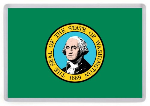 Washington state flag fridge - state,