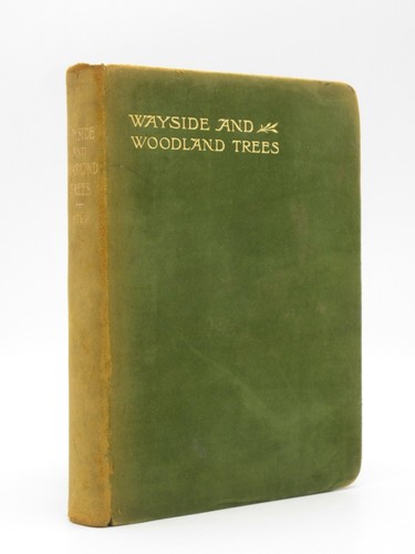 Wayside woodland trees - &,
