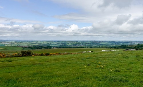Photo 6x4 field north - 6x4,