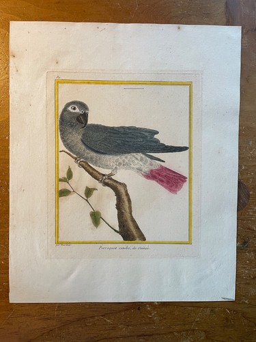 Francois martinet original - martinet,