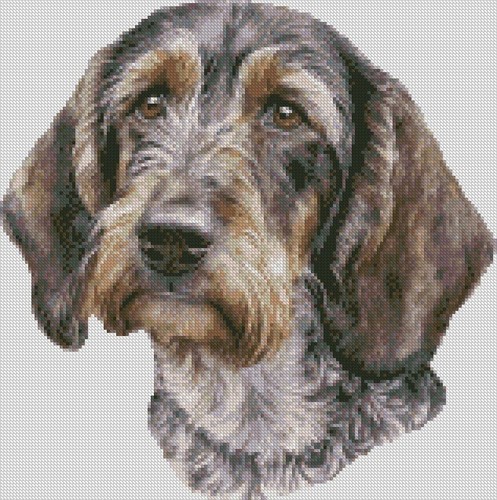 Complete counted cross - counted, stitch
