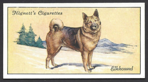 Hignett dogs 11 elkhound - hignett, #11