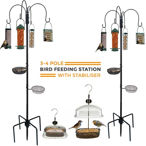 Wild bird feeding station - feeding,