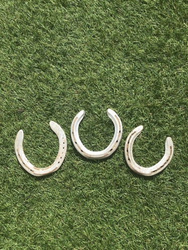Aluminium horseshoe - aluminium,