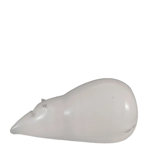 Marked wedgwood white - marked,