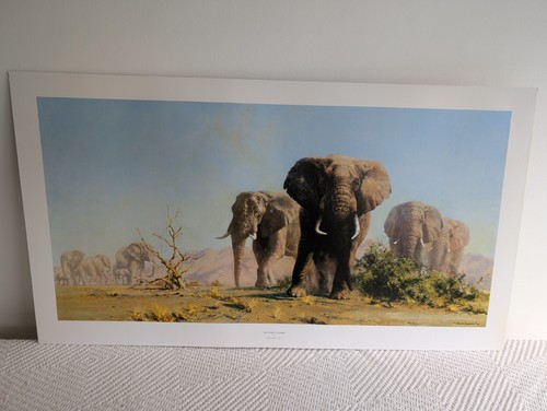 Very rare authentic david - very,