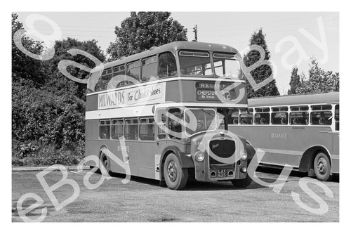 Bus photograph red - bus,