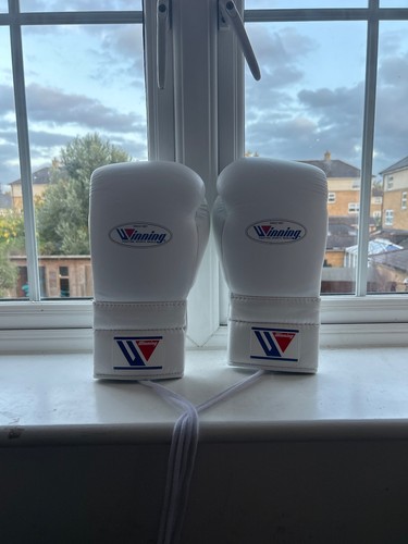 Winning boxing gloves - boxing,