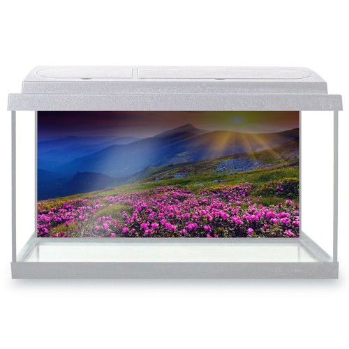 Fish tank background - background, 90x45cm