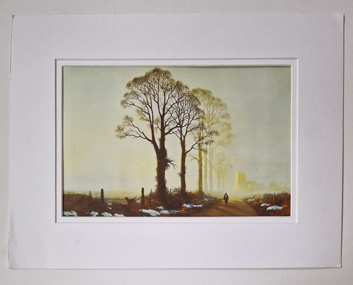 Coulson winter sunlight - coulson,