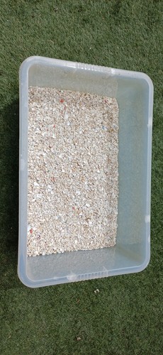 Marine coral sand - marine,