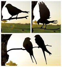 Bird Silhouette Tree
