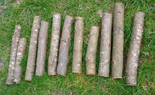 Seasoned hardwood logs