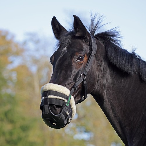 Shires freegraze airflow - freegraze,
