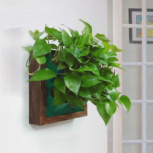Vertical wall planter - vertical,
