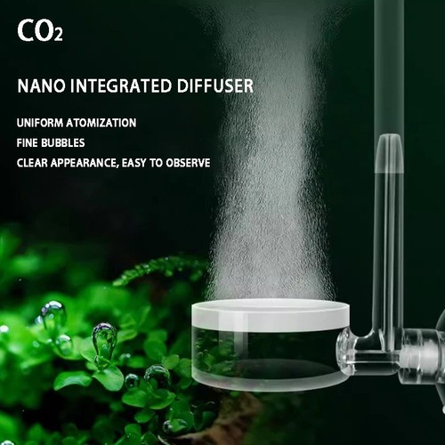 Aquarium co2 diffuser fish - co2,