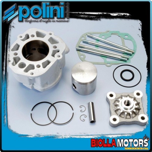 109 0016 thermal group polini - thermal,