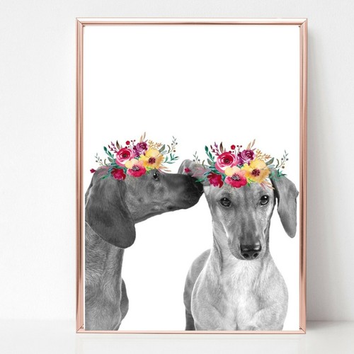 Dachshunds sausage dog print - sausage,