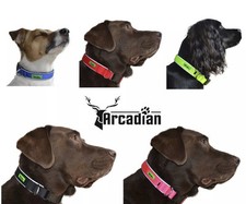 Wholesale Joblot Neoprene Dog