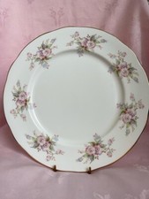 salisbury bone china 10”