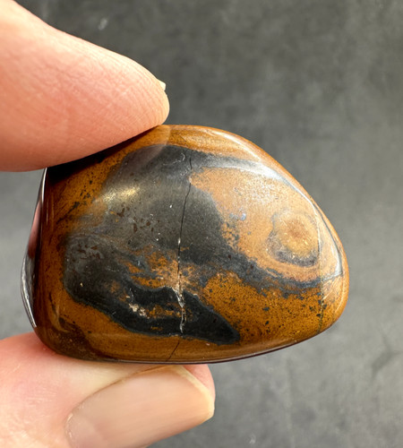 Tiger eye - eye,, palm