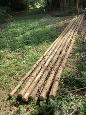 Tipi Poles 8.3 metres Norway Spruce Timber Climbing Frame