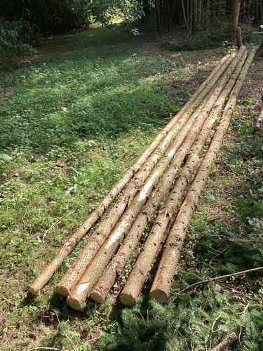 Tipi poles metres norway - tipi,