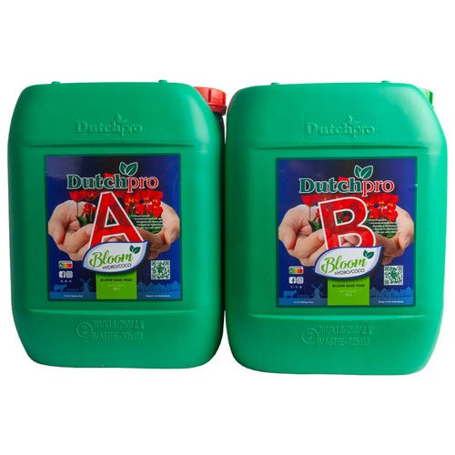 Dutch pro original bloom - pro,
