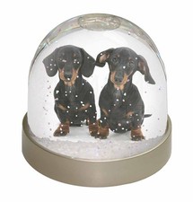 Cute Dachshund Dogs Snow Globe