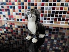 seneshall cat